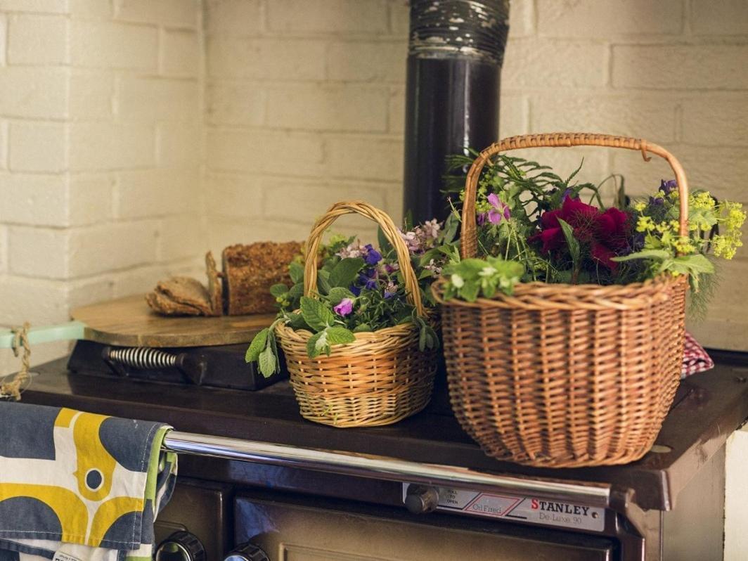 Clonalis House - Guesthouse Castlerea エクステリア 写真