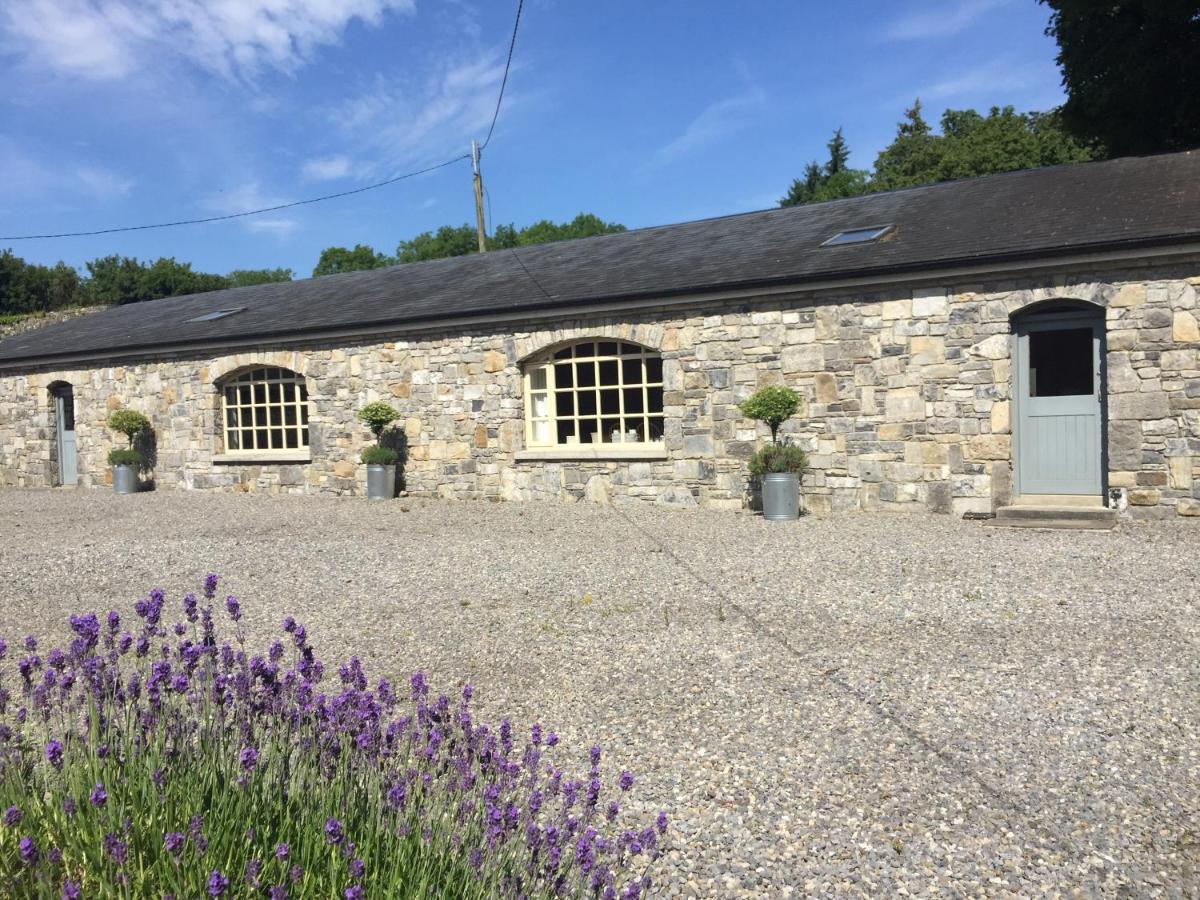 Clonalis House - Guesthouse Castlerea エクステリア 写真