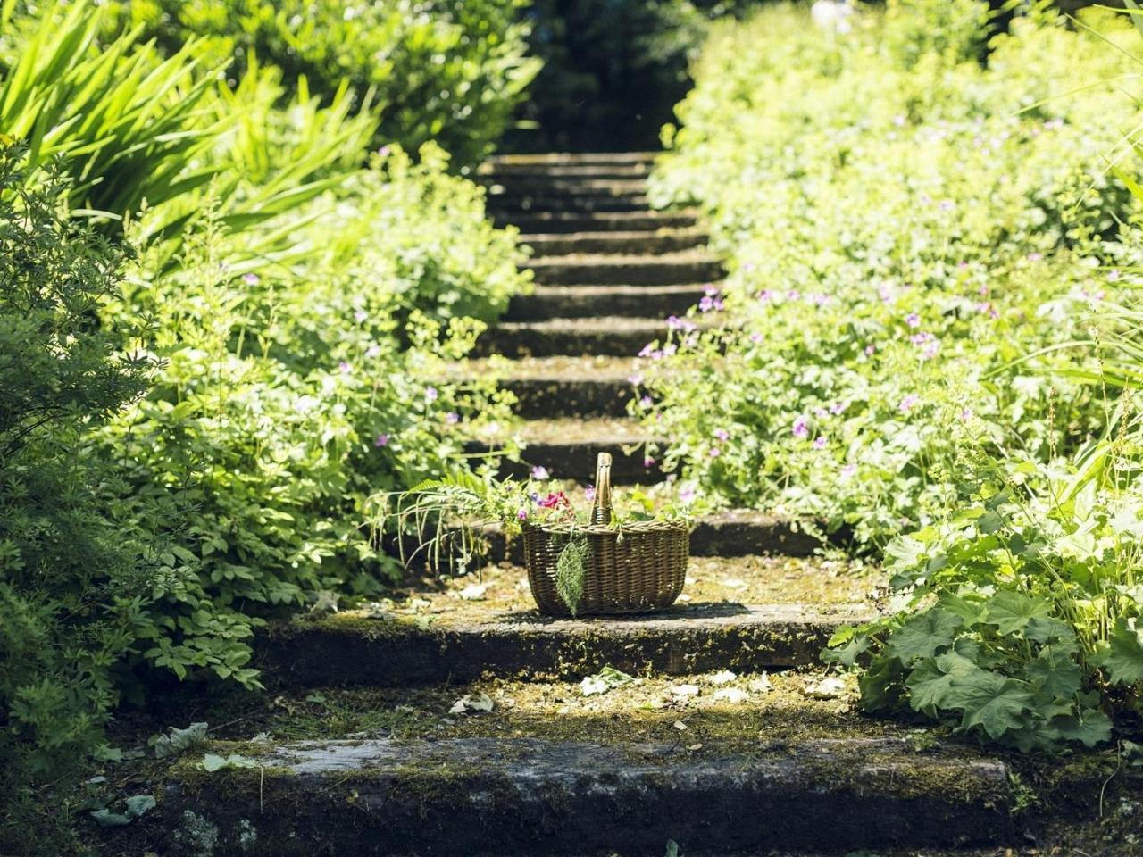 Clonalis House - Guesthouse Castlerea エクステリア 写真